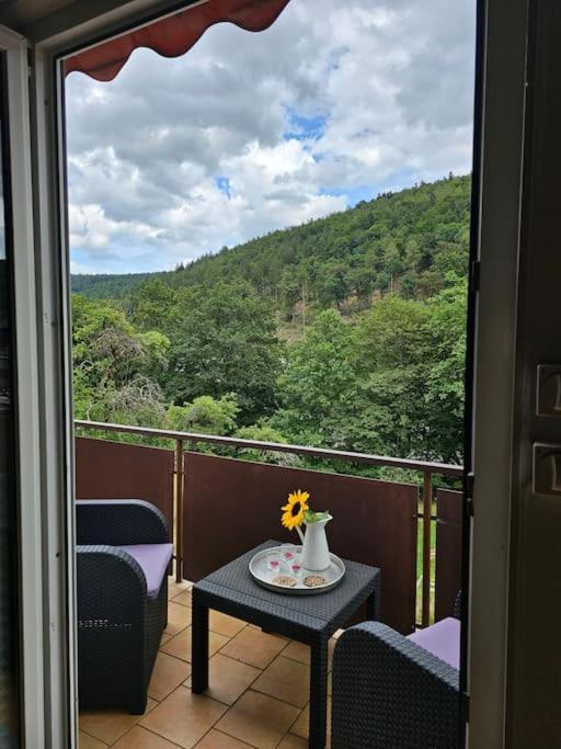 Grosse Ferienwohnung Am Waldrand Schönau im Schwarzwald Extérieur photo
