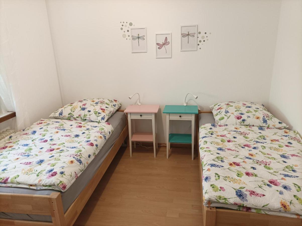 Grosse Ferienwohnung Am Waldrand Schönau im Schwarzwald Extérieur photo
