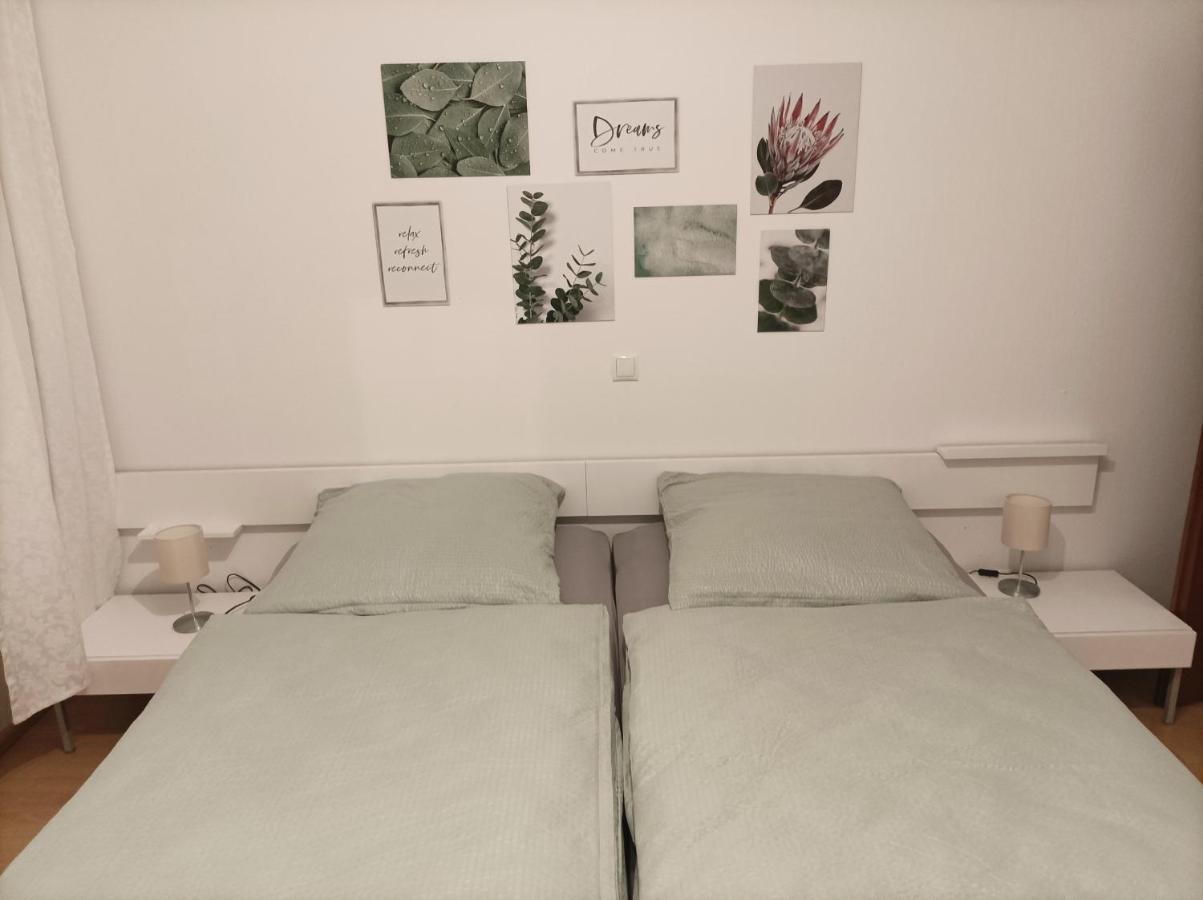 Grosse Ferienwohnung Am Waldrand Schönau im Schwarzwald Extérieur photo